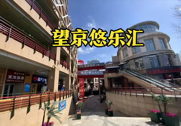 北京望京合生麒麟社是做什么的(19)