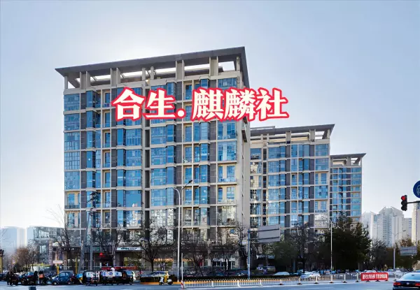 北京望京合生麒麟社是做什么的(1)