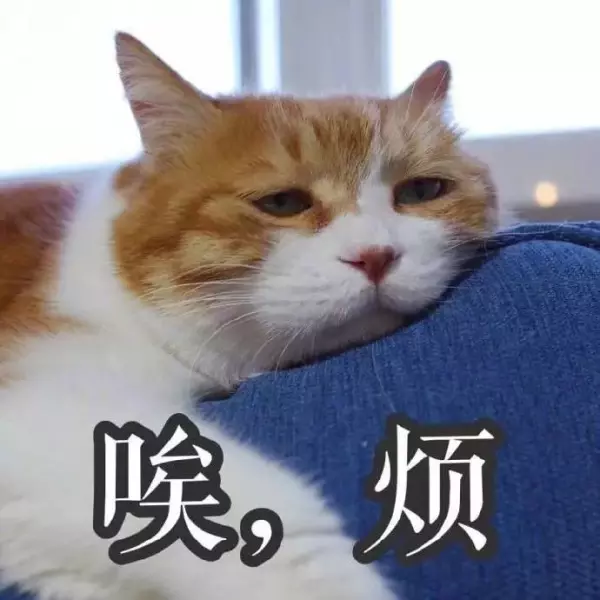 保利紫薇花园一层楼有多少户住宅(3)