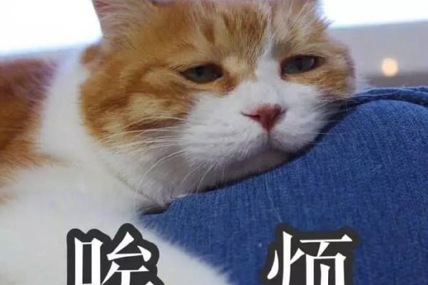 保利紫薇花园一层楼有多少户住宅.