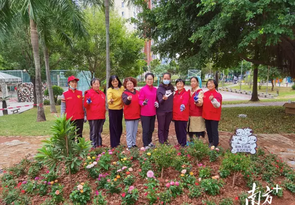 梧桐花园属于哪个社区(1)