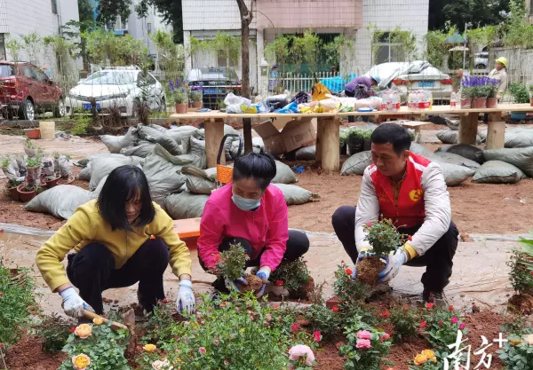 梧桐花园属于哪个社区(3)