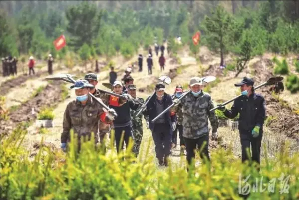 马蹄室内设计网改名了吗(22)