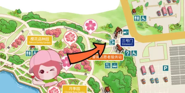 顾村公园樱花什么时候开2023(4)