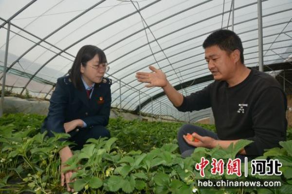 三河贴吧最新消息三河税务局.