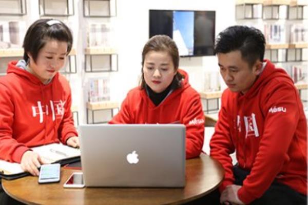 米素墙布是几线品牌怎么样.