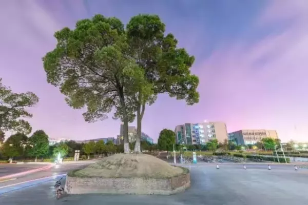 长沙铁道学院什么时候并入中南大学(9)
