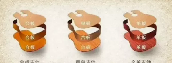 玫瑰木和桃花心木哪个更好些(3)
