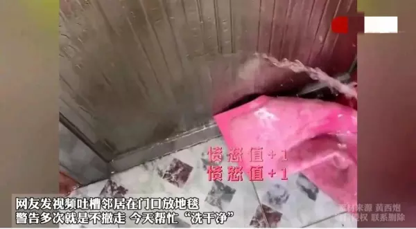 红色地毯出入平安不能放大门口吗(1)