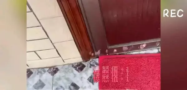 红色地毯出入平安不能放大门口吗(2)