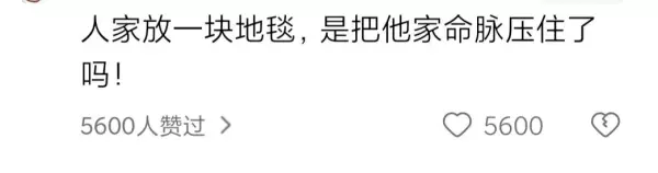 红色地毯出入平安不能放大门口吗(3)