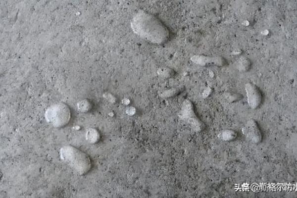 砂浆防水剂和防水涂料的区别.