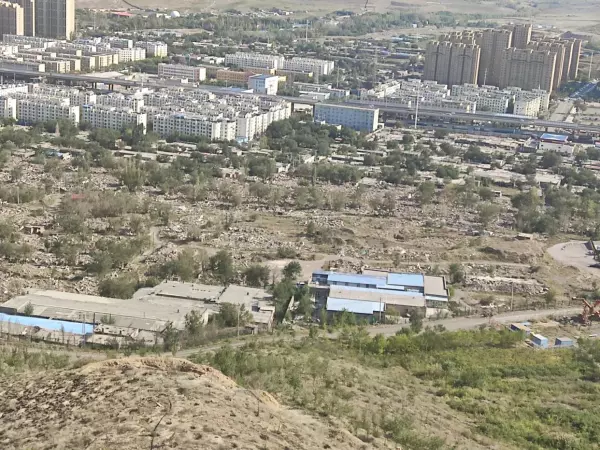 上海紫园在哪个区是郊区吗(3)