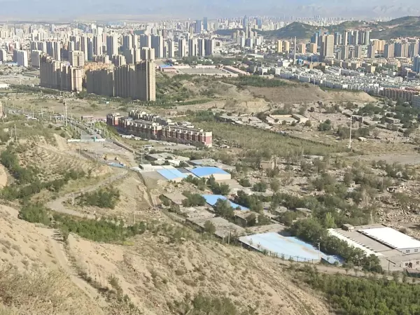 上海紫园在哪个区是郊区吗(5)