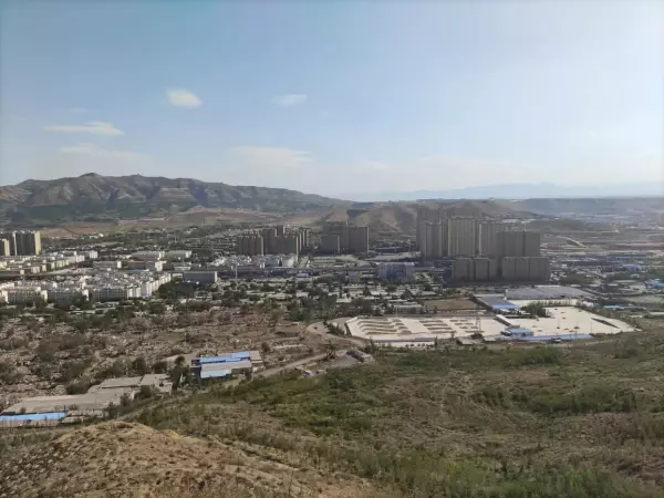 上海紫园在哪个区是郊区吗(6)
