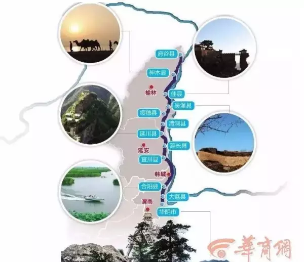 博牛什么牌子牛奶(14)