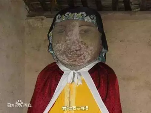 博牛什么牌子牛奶(16)