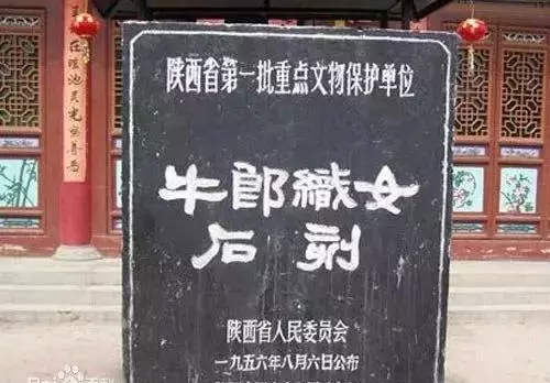 博牛什么牌子牛奶(17)