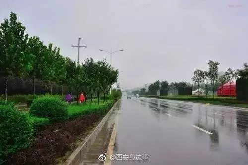 博牛什么牌子牛奶(9)