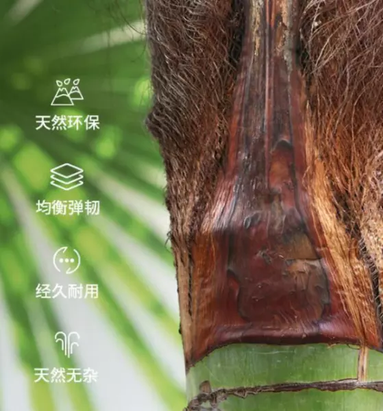 大自然床垫和喜临门哪个品牌好(5)
