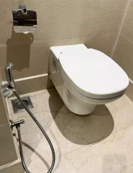 为什么叫马桶而不叫其他的名字?(15)