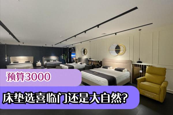 大自然床垫和喜临门哪个品牌好.