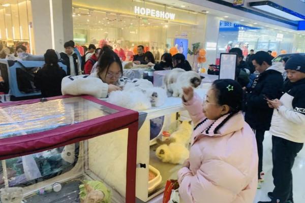 天津万达广场河东店有超市吗.