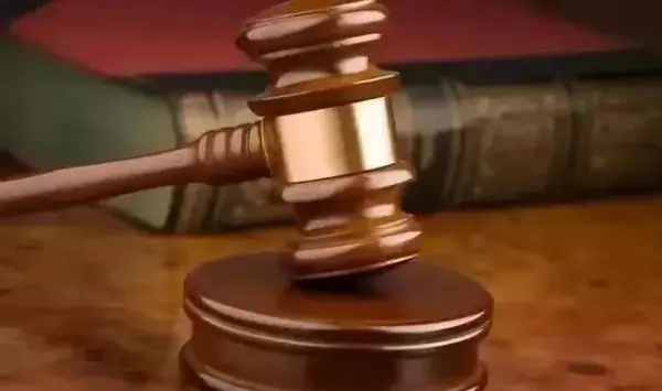 西堤国际杀妻案的房子(10)