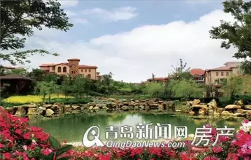 璞玉岛归哪个社区管(18)