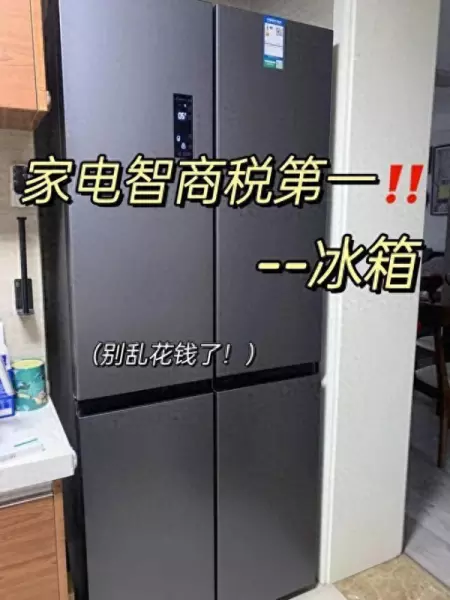 电冰箱价格大全什么牌子好(1)