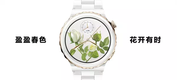 为什么手表1.39英寸是46mm(5)