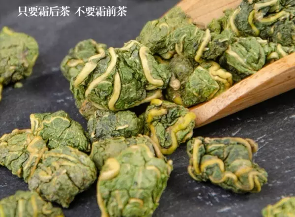 桑树叶霜打了以后当茶喝有啥好处(8)
