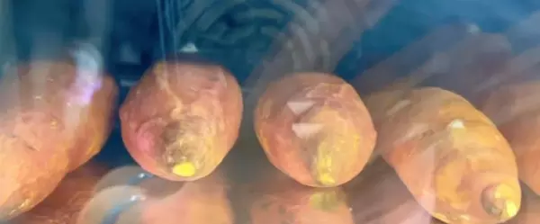 方太烤箱烤红薯选择什么模式(5)