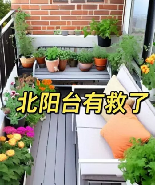 阳台菜园怎么设计最合理(1)