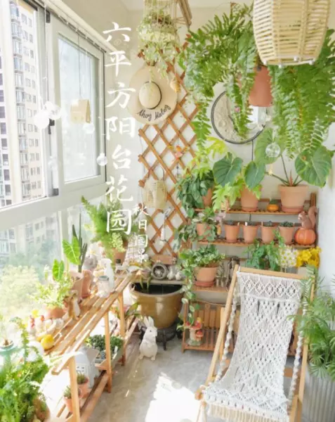 阳台菜园怎么设计最合理(3)