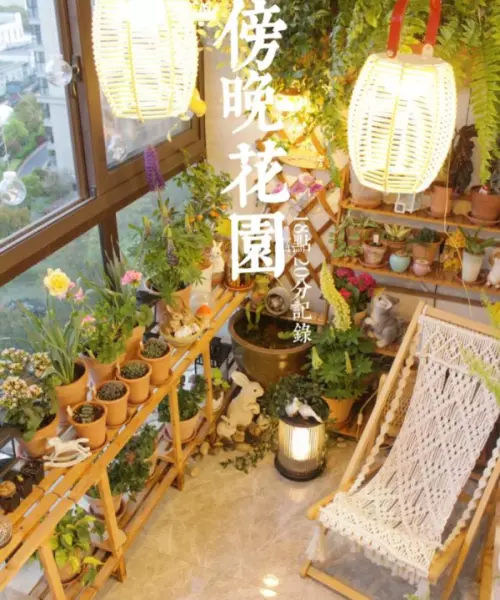 阳台菜园怎么设计最合理(5)