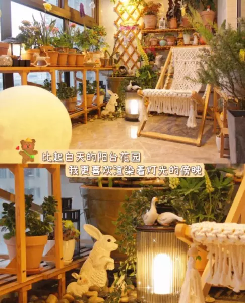 阳台菜园怎么设计最合理(6)