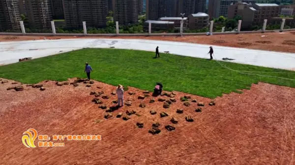 江南实验学校属于哪个街道(2)