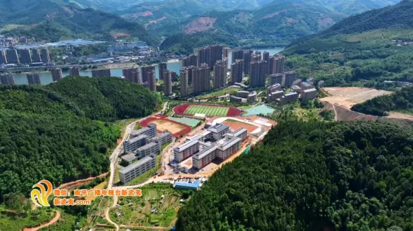 江南实验学校属于哪个街道(6)