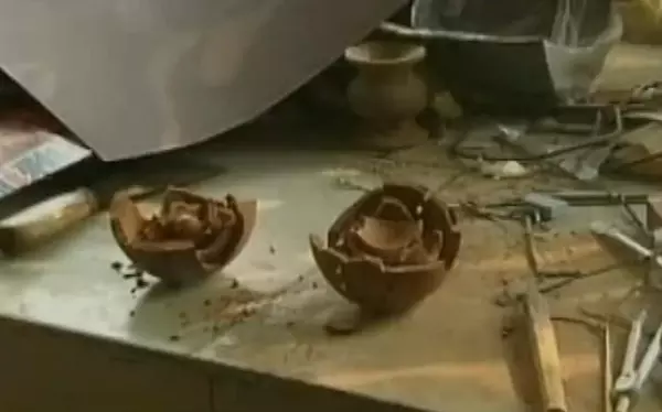 邢良坤与孙震悬赏广告纠纷上诉案(16)