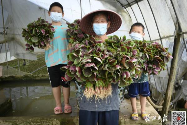 新世界恒大华府属于哪个街道.