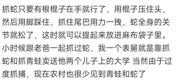 七寸是多大多少厘米(5)