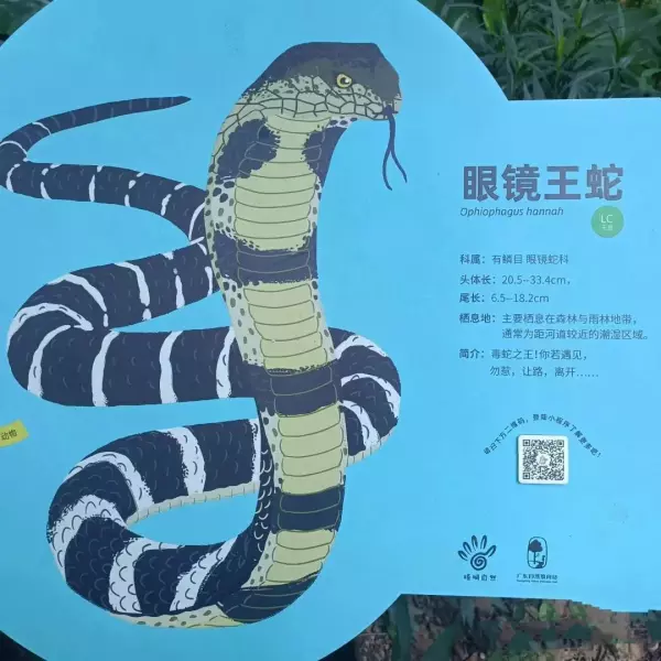 七寸是多大多少厘米(6)