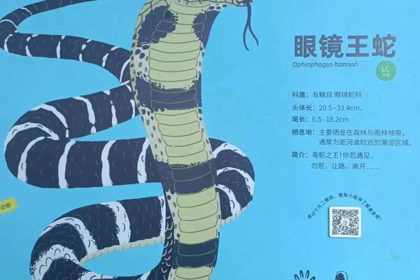 七寸是多大多少厘米.
