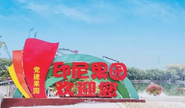 油柑叶枕头有什么好处和坏处(8)