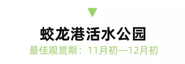 川西红枫岭最佳时间(21)