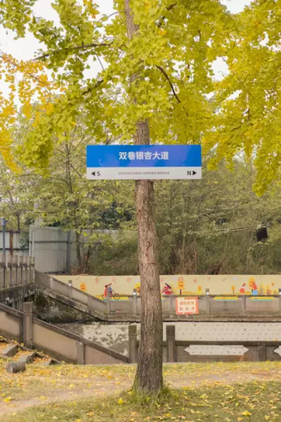 川西红枫岭最佳时间(23)