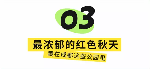 川西红枫岭最佳时间(36)