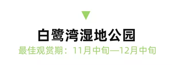 川西红枫岭最佳时间(37)