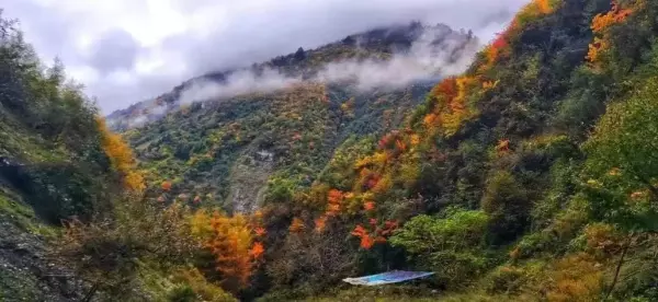 川西红枫岭最佳时间(70)